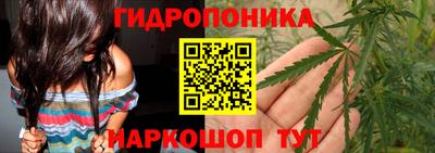 гидра Балашиха