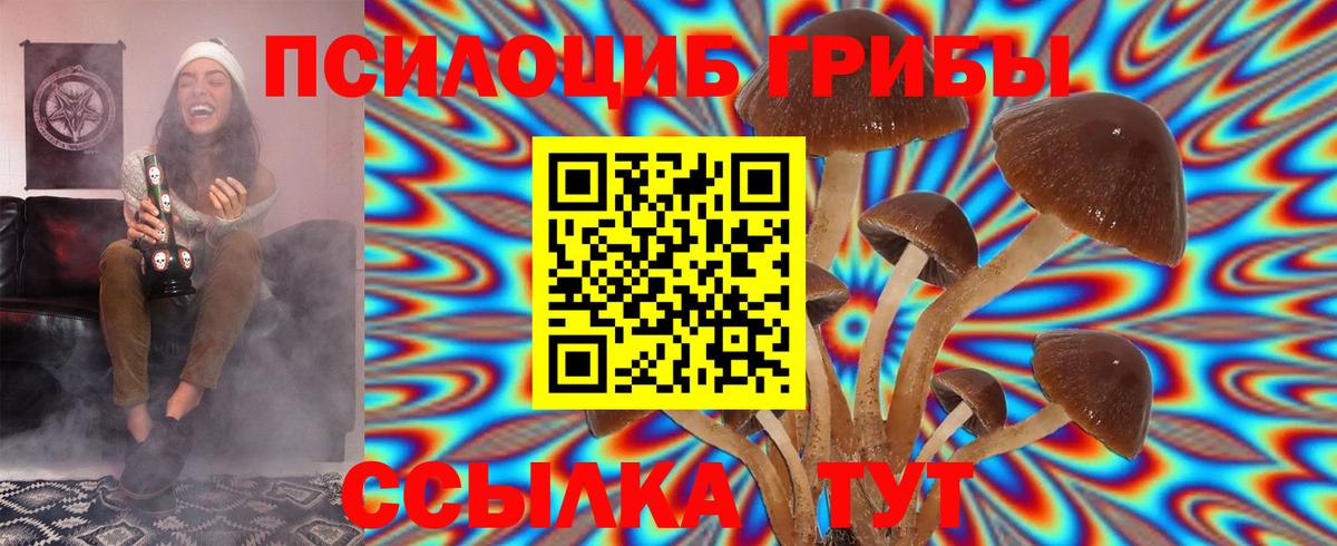 Псилоцибиновые грибы MAGIC MUSHROOMS Дербент